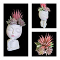 Faux-Succulent Face Planter - White Female - Strike a Pose