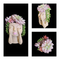 Faux-Succulent Face Planter - Cocoa - Female Planter - Peak-A-Boo