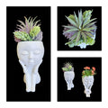 Faux Succulent Arrangement - Full Body Planter- White Unisex w/ soft plants