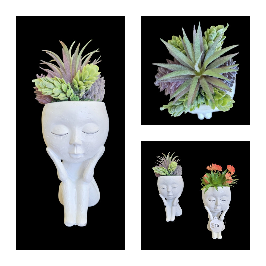 Faux Succulent Arrangement - Full Body Planter- White Unisex w/ soft plants