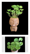 Faux Succulent Arrangement - Extra Small Face Planter -  Black Female Chin Perched on Hands